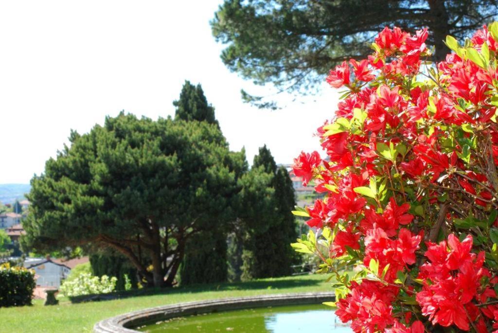 Villa Rossini Tavernerio Dış mekan fotoğraf